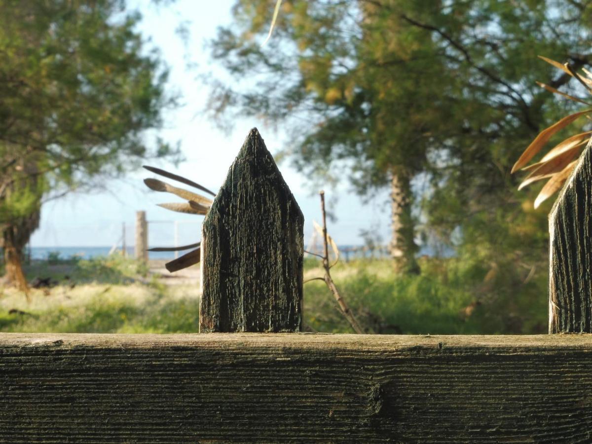 Palm Tree House By The Beach Skhoinos Ngoại thất bức ảnh