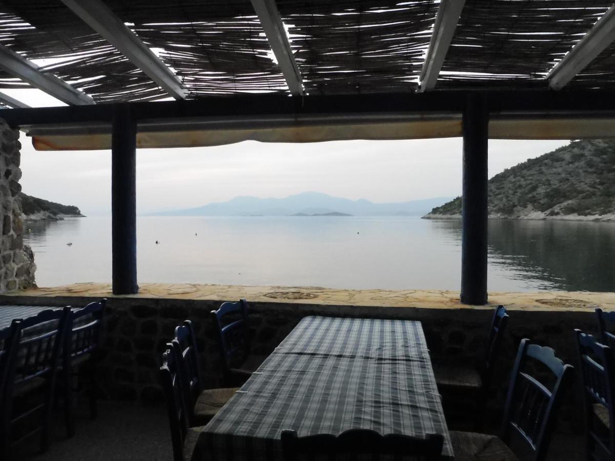 Palm Tree House By The Beach Skhoinos Ngoại thất bức ảnh