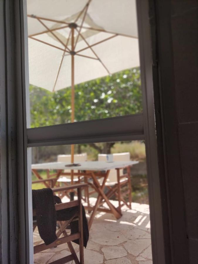 Palm Tree House By The Beach Skhoinos Ngoại thất bức ảnh